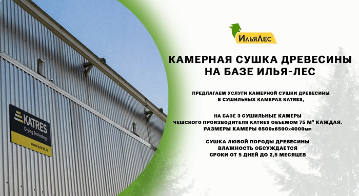 Камерная сушка древесины на базе Илья лес