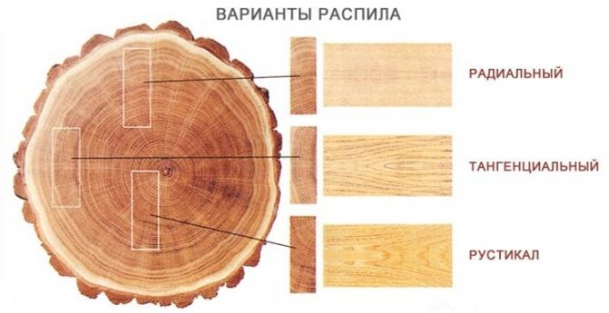 Основные виды распила древесины | Статьи